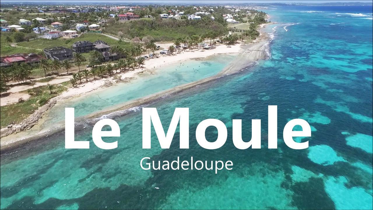 Le Moulin De La Baie Piscine Vue Mer Le Moule Luaran gambar